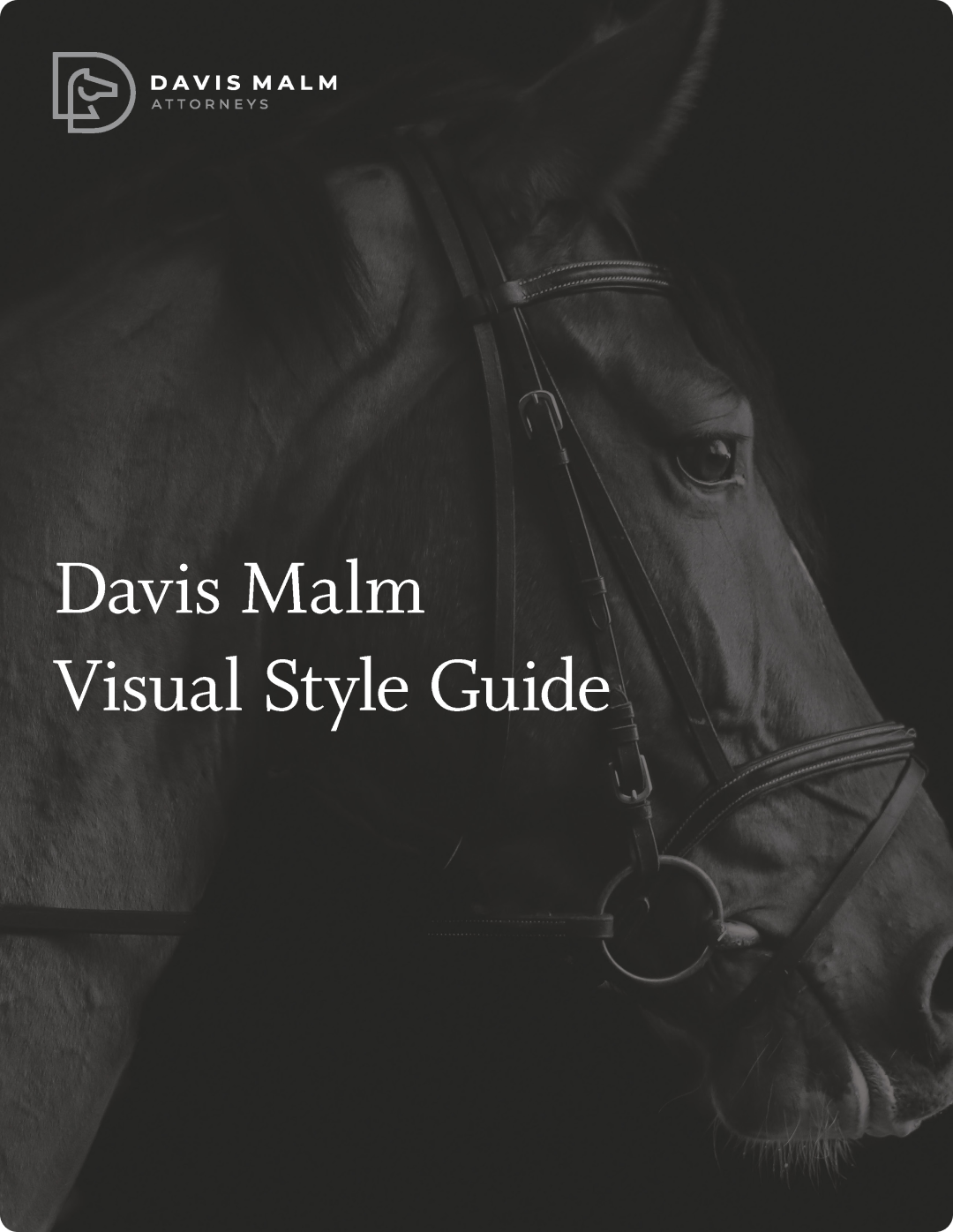 Davis Malm Visual Style Guide cover
