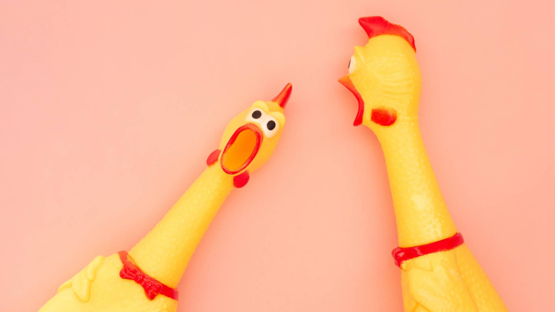 How-Your-Brand-Voice